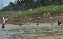 Thêm 3 người chết đuối ở sông Tranh