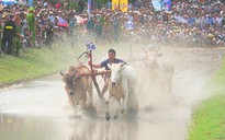 Ngắm khoảnh khắc dậy... bùn ở đường đua bò Bảy Núi