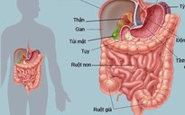 Tư vấn về rối loạn tiêu hóa