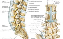 Cứu nữ công nhân bị gãy cột sống