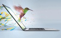 Ultrabooks 699 USD sẽ có mặt mùa hè này