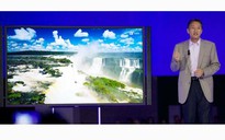 Sony bắt đầu cung cấp nội dung 4K cho người tiêu dùng