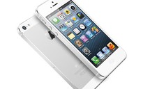 iPhone 5 có còn chỗ đứng sau ngày 10-9?