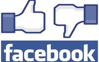 Facebook 2013: Một xã hội 'ảo' ưa làm quá