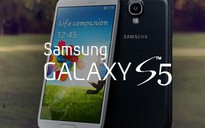 Galaxy S5 bỏ lỡ Snapdragon 805, Note 3 Neo đang duyệt