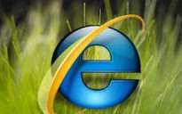 Internet Explorer không hỗ trợ WebGL