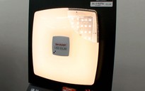 Đèn LED tiết kiệm năng lượng nhất thế giới