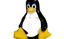 Nvidia đáp trả lời chỉ trích của cha đẻ Linux