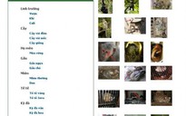 Tài liệu trực tuyến bảo vệ động vật hoang dã