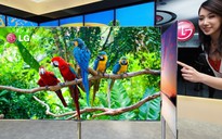 Năm 2017: sẽ có TV OLED dẻo 60 inch