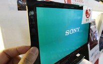 Sony sẽ trình làng TV OLED 4K tại CES 2013