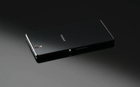 Lộ diện Sony Togari và Honami