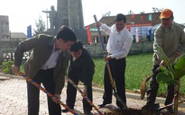 Đảo Lý Sơn ra quân thực hiện “tết trồng cây”