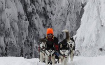 Đua chó trong tuyết lạnh ở Czech