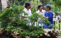 Quy tụ 8.000 hiện vật tại Hội Hoa Xuân Nhâm Thìn 2012