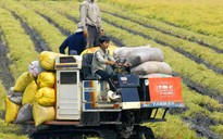 Luật Đất đai: Phải sửa những gì?
