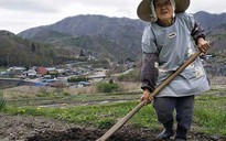 Nhật Bản trước nguy cơ mất làng