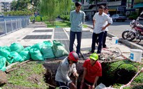 Chưa xác định nguyên nhân xuất hiện “hố tử thần” trên đường Hoàng Sa