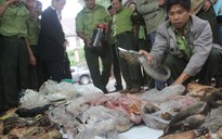 Thú rừng lâm nguy!