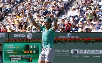 Hạ gục Djokovic, Del Potro vào chung kết với Nadal