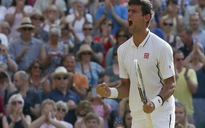 Djokovic thắng Del Potro trong trận bán kết lịch sử ở Wimbledon