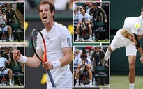 Đánh bại “hiện tượng” Janowicz, Murray chờ Djokovic ở chung kết