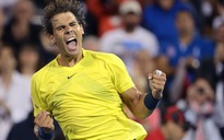 Đánh bại Djokovic, Nadal vào chung kết Rogers Cup 2013
