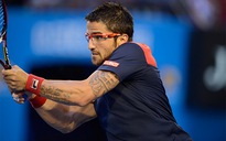 Rogers Cup 2013: Hạt giống Tipsarevic bị loại sớm