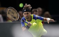 Ferrer loại Nadal, hẹn Djokovic ở chung kết