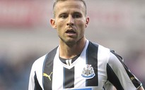 Newcastle tố Arsenal chơi bẩn trong phi vụ Cabaye