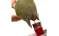 Mọc u giun do uống rượu huyết