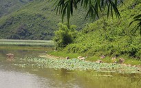 Hà Nội: 8 học sinh nữ chết đuối ở hồ Tuy Lai