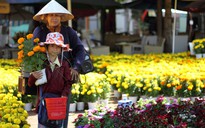 Bà cháu hát rong mua hoa ngày Tết