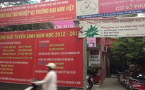Làm rõ việc đào tạo chui tại Trường Nam Việt