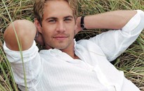 Những ngôi sao vụt tắt năm 2013