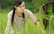 Thiên mệnh anh hùng và Đam mê tranh giải Liên hoan Phim quốc tế Hà Nội 2012