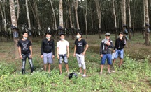 6 bệnh nhân Covoid-19 bỏ trốn khỏi bệnh viện