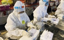 Chiều 13-5, thêm 31 ca mắc Covid-19, trong nước có 19 ca