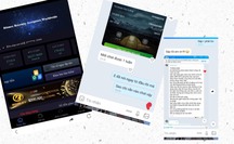 NÓNG: Sập sàn ngoại hối  mà Công an TP HCM từng cảnh báo, hàng ngàn người điêu đứng