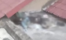 Kết quả xác minh ban đầu vụ bộ xương người trên mái nhà ở Bình Chánh, TP HCM