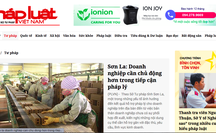 Thanh tra Bộ TT-TT kết luận nhiều vi phạm của Báo Pháp luật Việt Nam