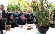 Singapore đặt tên loài hoa lan mới theo tên Thủ tướng Phạm Minh Chính và Phu nhân