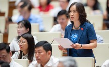 Đại biểu Quốc hội: Đánh giá kỹ hiệu quả của Quỹ bình ổn giá xăng dầu