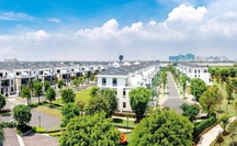 Chứng khoán phục hồi mạnh, vì sao cổ phiếu Novaland liên tục bị bán giải chấp?