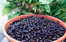 Rau ranh ốc đá, món canh “độc nhất vô nhị”