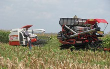 Bầu Đức mê nông nghiệp công nghệ cao