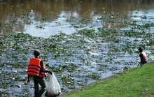 Hồ Xuân Hương đầy rác, cạn bất thường