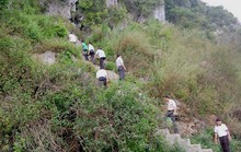 Chân Linh không phải Tiên Sư