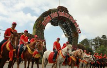 Ngựa diễu hành “đại náo”  thành phố Hoa