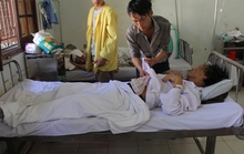 Ăn nấm độc, 3 người tử vong, 1 người nguy kịch